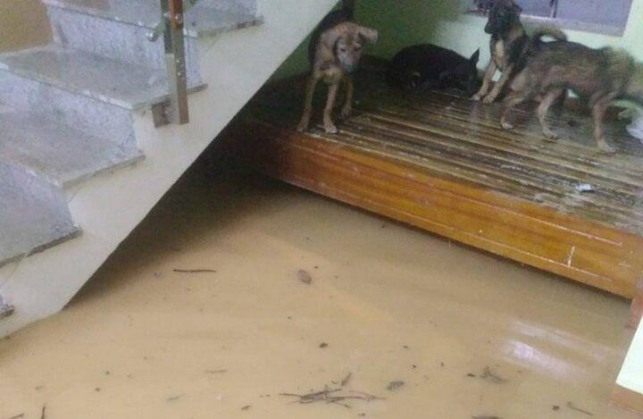 Mưa lũ làm hơn 1.200 ngôi nhà ở Quảng Trị bị ngập, 1 người mất tích-3