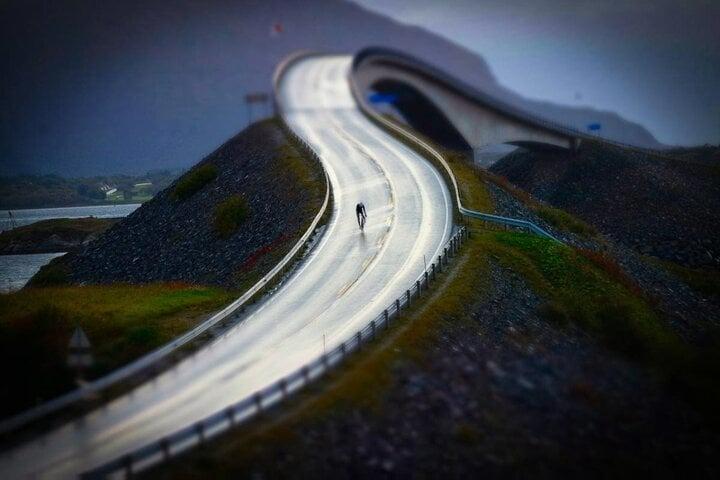 Kiến trúc ngoạn mục của cầu say rượu thách thức độ tỉnh táo của các tay lái-5