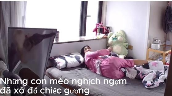 Mèo làm đổ gương, cô gái đang nằm ngủ có hành động nhanh như điện-1