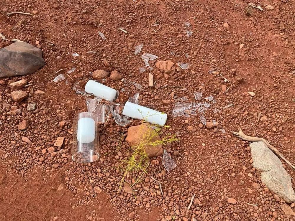 Hoa hậu và triệu phú bị chỉ trích vì hủy hoại thiên nhiên trong lễ cưới-5