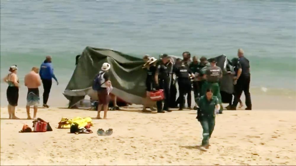 Nữ du khách bị cá mập tấn công bất ngờ vào đầu, bị thương nghiêm trọng-1