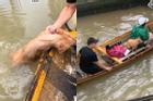 3 triệu người xem clip giải cứu 2 chú cún đang lạnh cóng trong mưa lụt ở Huế, cái kết khiến netizen vỡ òa