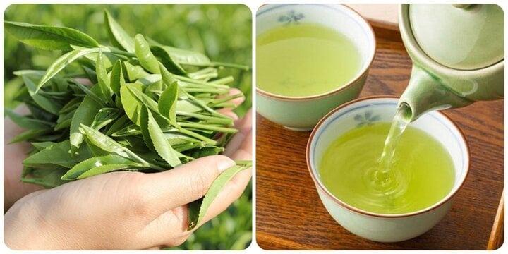 Công dụng của nước chè xanh với sức khoẻ-1