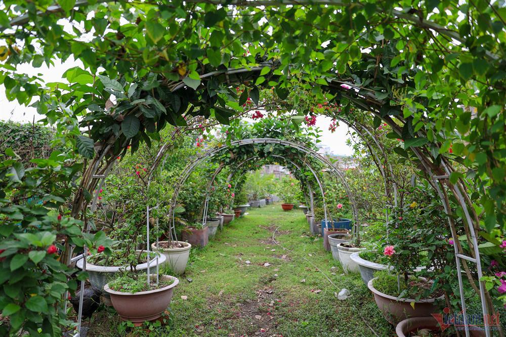 Ca sĩ Mỹ Lệ tuổi 51: Đại gia làm nông dân trên mảnh vườn hơn 10.000m2-1