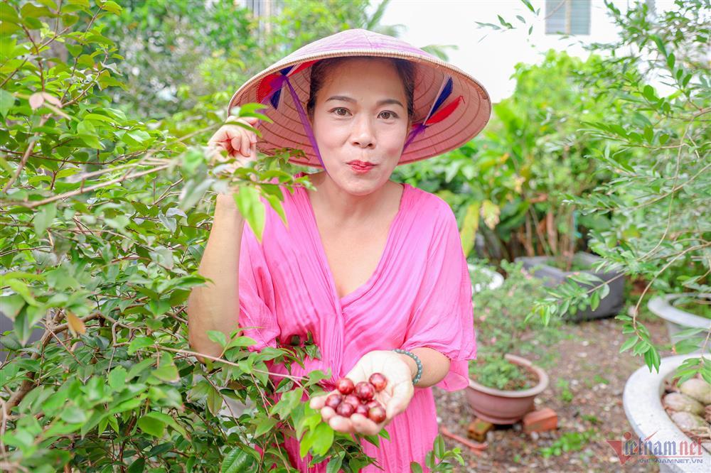 Ca sĩ Mỹ Lệ tuổi 51: Đại gia làm nông dân trên mảnh vườn hơn 10.000m2-4