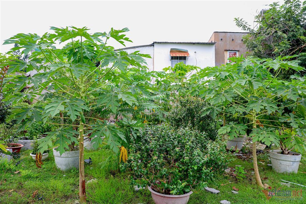 Ca sĩ Mỹ Lệ tuổi 51: Đại gia làm nông dân trên mảnh vườn hơn 10.000m2-14