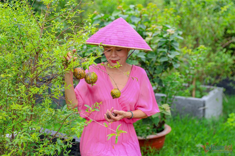 Ca sĩ Mỹ Lệ tuổi 51: Đại gia làm nông dân trên mảnh vườn hơn 10.000m2-15