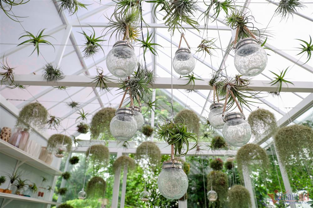 Ca sĩ Mỹ Lệ tuổi 51: Đại gia làm nông dân trên mảnh vườn hơn 10.000m2-19