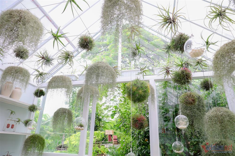 Ca sĩ Mỹ Lệ tuổi 51: Đại gia làm nông dân trên mảnh vườn hơn 10.000m2-20