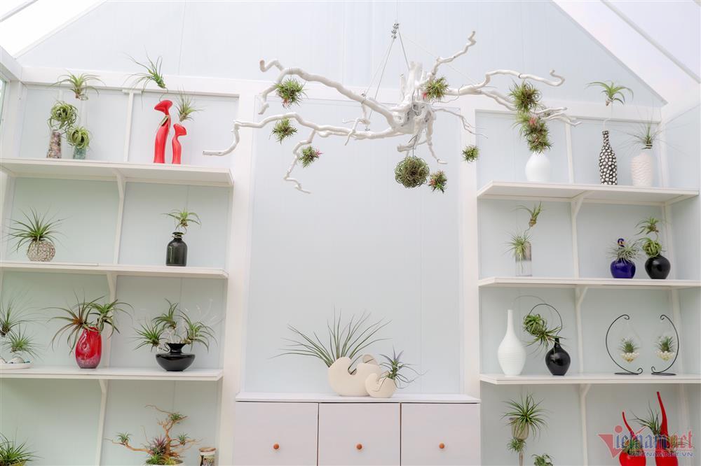 Ca sĩ Mỹ Lệ tuổi 51: Đại gia làm nông dân trên mảnh vườn hơn 10.000m2-21