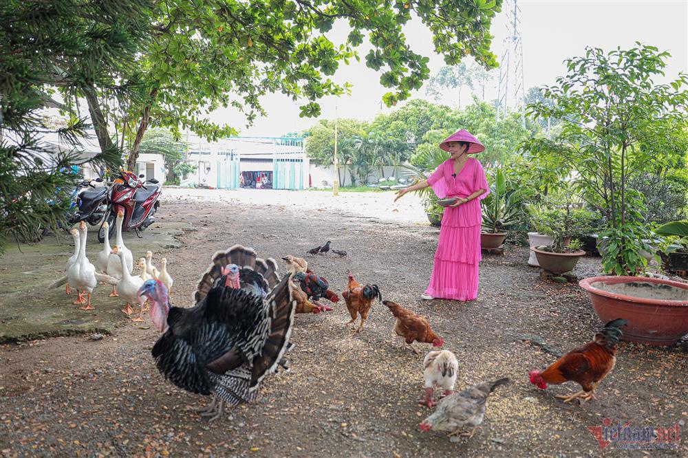 Ca sĩ Mỹ Lệ tuổi 51: Đại gia làm nông dân trên mảnh vườn hơn 10.000m2-22