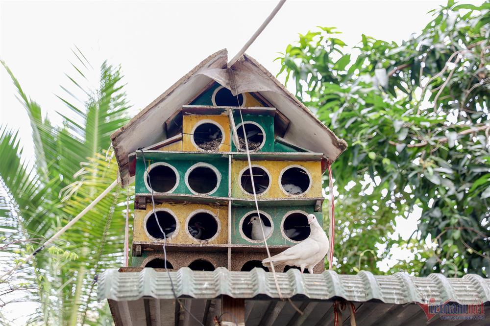 Ca sĩ Mỹ Lệ tuổi 51: Đại gia làm nông dân trên mảnh vườn hơn 10.000m2-24