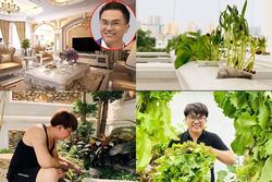 Ngắm vườn rau đủ các loại 'gì cũng có' trong nhà 'MC giàu nhất Việt Nam'