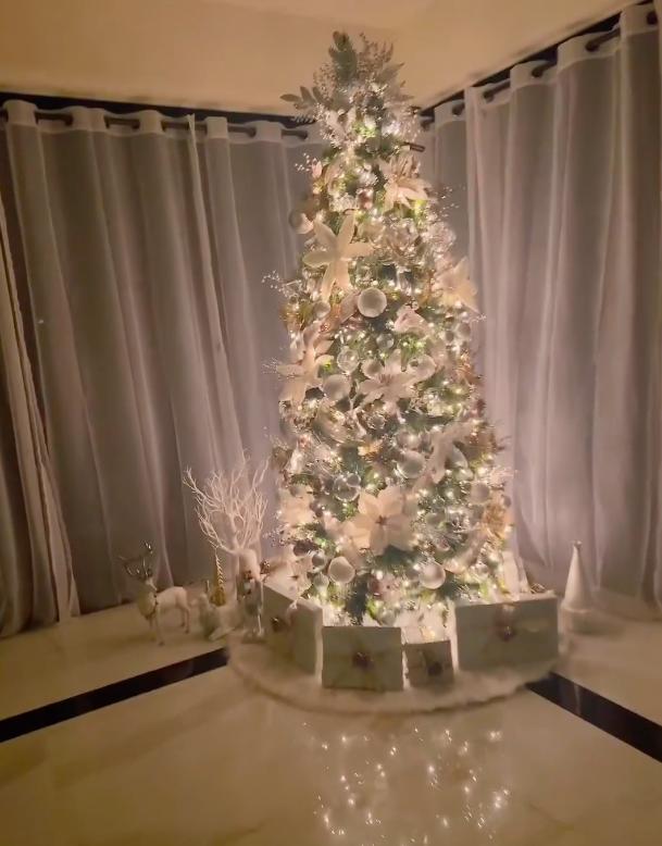 Phong cách trang trí nhà đón Noel của Phạm Hương ngày càng lên tay: 6 cây thông thể hiện đẳng cấp người giàu-3