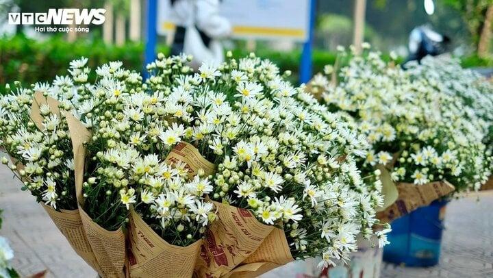 Ý nghĩa của những loài hoa tượng trưng cho 12 tháng sinh-2