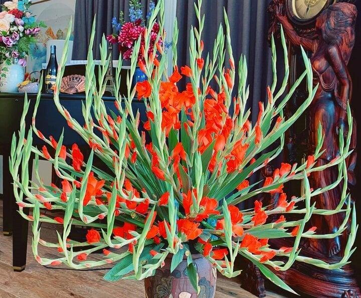 Ý nghĩa của những loài hoa tượng trưng cho 12 tháng sinh-4