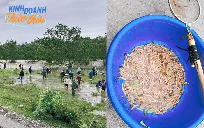 Huy động gia đình lội nước ngày lạnh, bắt lộc trời thu về cả triệu đồng/ngày-1