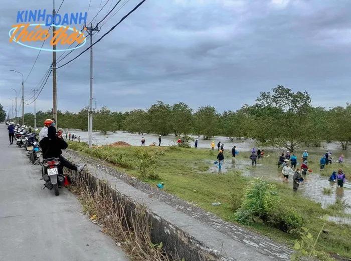 Huy động gia đình lội nước ngày lạnh, bắt lộc trời thu về cả triệu đồng/ngày-3