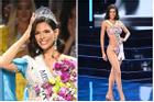 Vẻ đẹp nóng bỏng của tân Miss Universe 2023 cao 1m80