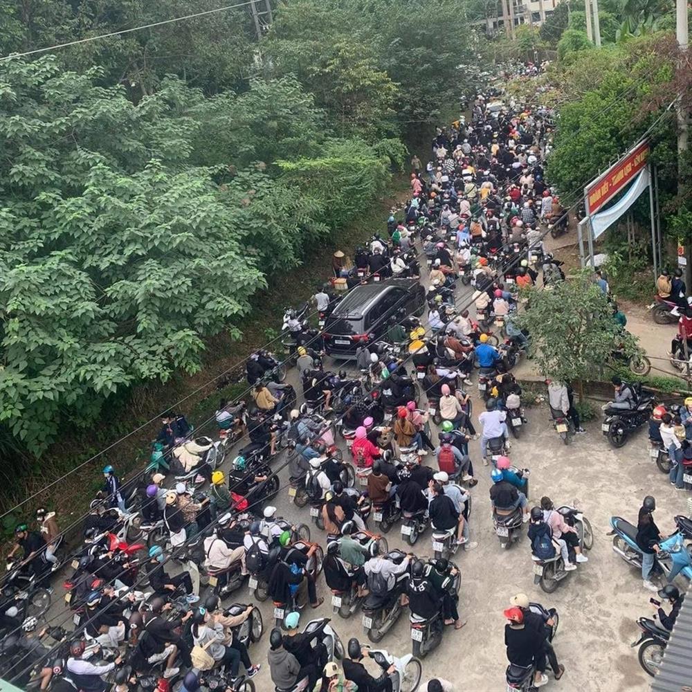 Dòng người ùn ùn đổ về săn hoa dã quỳ, đường lên Ba Vì tắc nghẽn-1