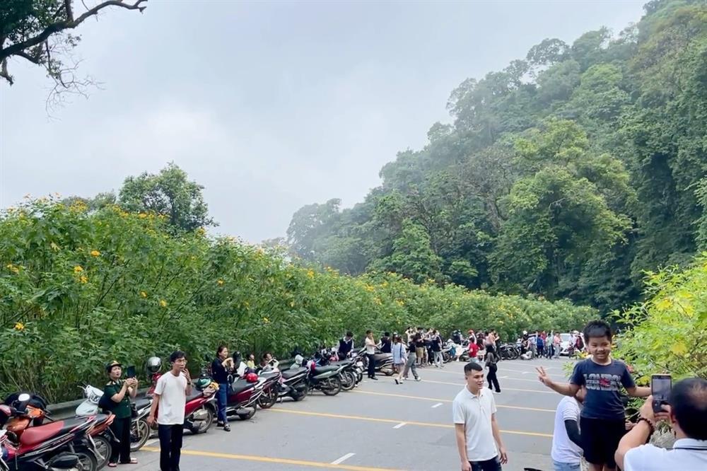 Dòng người ùn ùn đổ về săn hoa dã quỳ, đường lên Ba Vì tắc nghẽn-3
