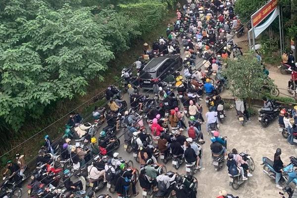 Đồi hoa dã quỳ đẹp điên đảo, được yêu thích nhất tại Đà Lạt năm nay-9