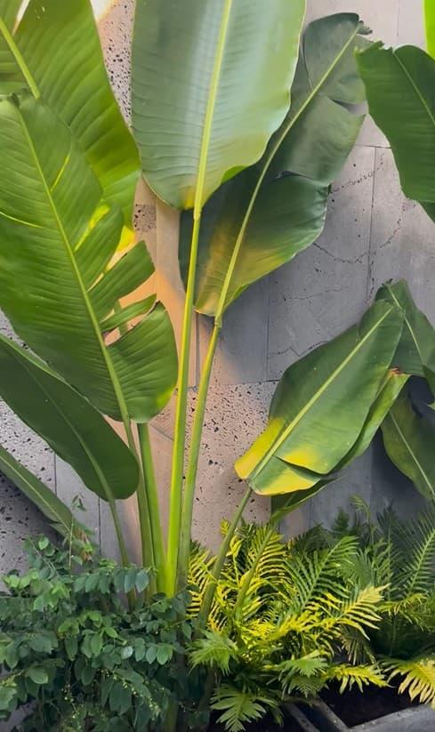 Đột nhập nhà mới của vợ chồng Phan Mạnh Quỳnh: Thiết kế hiện đại, khang trang xịn xò-7