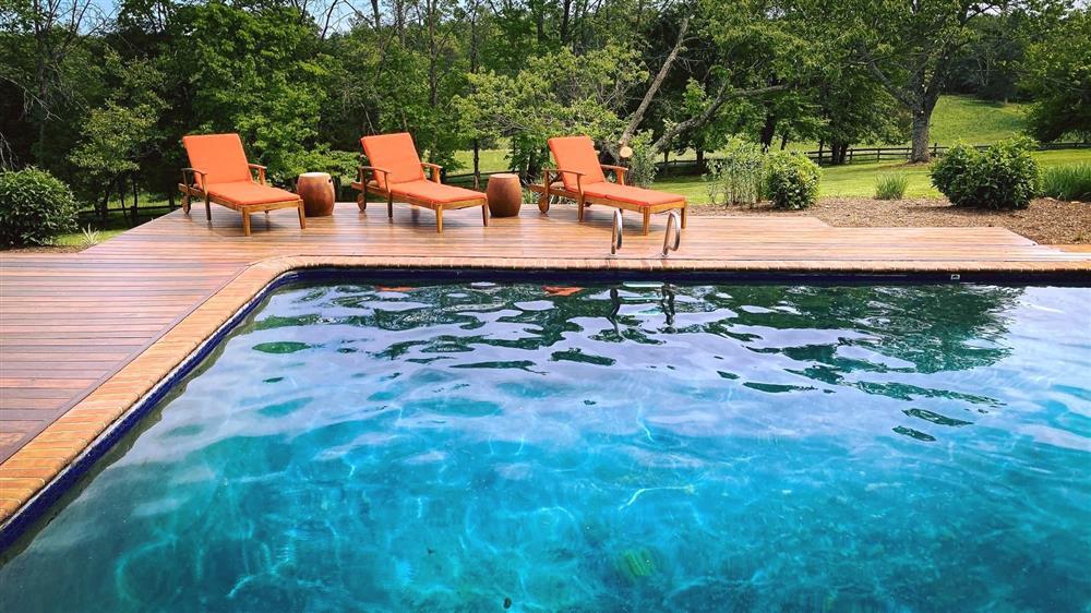 Ngắm nông trại bên Mỹ của hoa hậu Việt vừa gây sốt khi tái xuất, trổ tài catwalk giữa đồng lúa-14