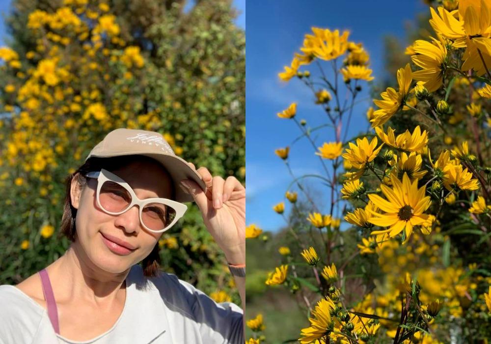 Ngắm nông trại bên Mỹ của hoa hậu Việt vừa gây sốt khi tái xuất, trổ tài catwalk giữa đồng lúa-25