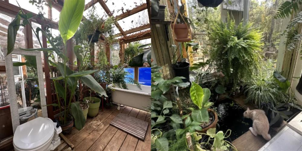 Cuộc sống như mơ của cặp đôi lệch nhau 17 tuổi-2