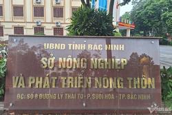 Bắc Ninh yêu cầu giải trình gấp vụ lãnh đạo Sở đi chơi golf trong giờ làm việc