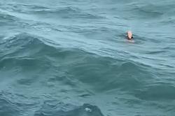 Nam du khách 'ngà ngà say' được giải cứu khi đang bơi từ đất liền ra đảo