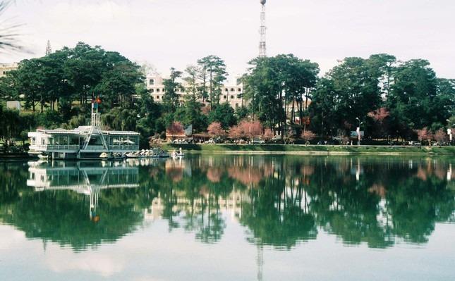 Lý do người trúng đấu giá nhà hàng Thủy Tạ nổi tiếng Đà Lạt bỏ cọc nửa tỷ-1