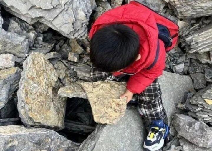 Chơi trò đào kho báu, bé trai 5 tuổi tìm thấy hóa thạch 500 triệu năm-1