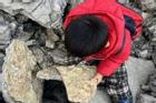 Chơi trò đào kho báu, bé trai 5 tuổi tìm thấy hóa thạch 500 triệu năm