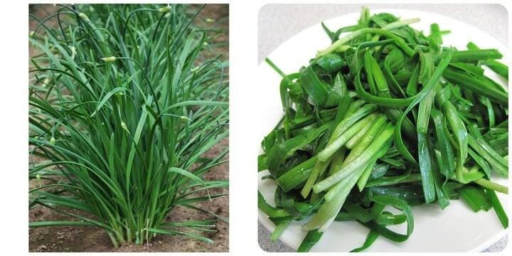 Rau hẹ có tác dụng gì với sức khoẻ?-1