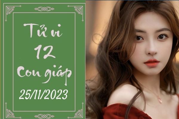 Tử vi vui 12 con giáp hôm nay ngày 25/11/2023: Mão thương người, Thìn cố gắng-1