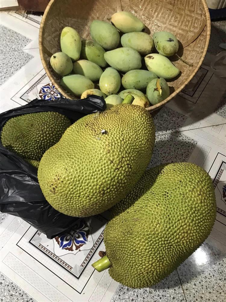 Nữ hoàng cảnh nóng tình trường trắc trở, giờ bình yên bên cơ ngơi 5.000 m2-4