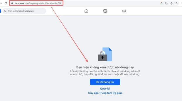 Tài khoản mạng xã hội của Ngọc Trinh có động thái lạ, clip lái xe gây tranh cãi cũng bay màu-1