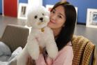 Song Hye Kyo: Phụ nữ đẹp nhất khi không thuộc về ai