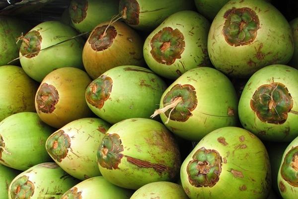 Loại rau thơm giá rẻ ở chợ Việt được người Nhật coi trọng-2