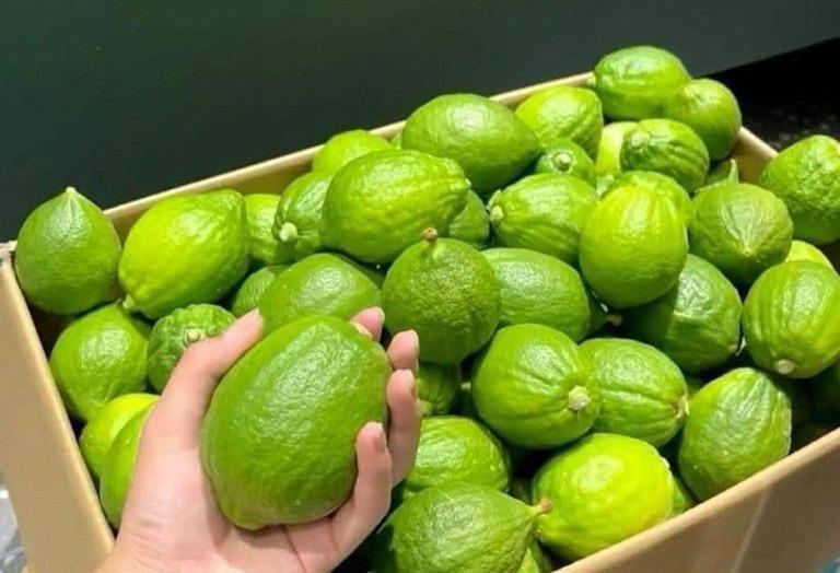 Loại chanh lạ gây sốt, giá cao gấp 4 lần hàng Việt vẫn hút khách-2
