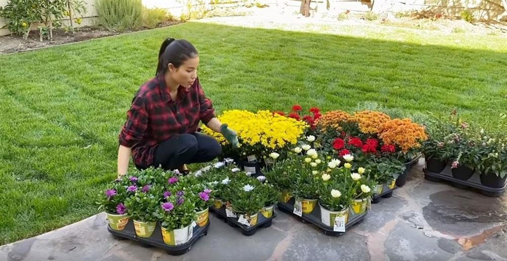 Hoa hậu Phạm Hương khoe khéo loạt hàng hiệu đắt tiền và ở biệt thự sang chảnh-7