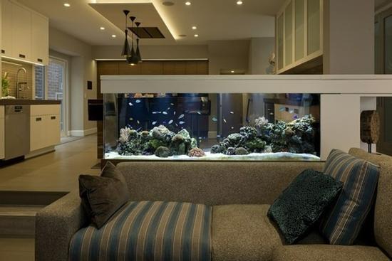 7 vị trí đặt bể cá trong nhà không tốt, dễ ảnh hưởng sức khỏe, tài lộc thất thoát