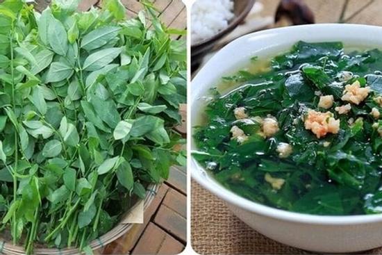 Rau ngót cực bổ dưỡng nhưng 'đại kỵ' với 3 nhóm người này