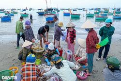 Chợ cá ở Mũi Né tính tiền theo thau, khách tới 'săn' hải sản giá rẻ