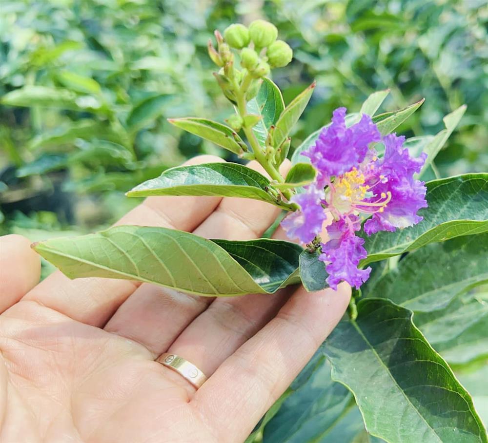 Hơn 2 tháng thông báo chia tay, Vua cá Koi vẫn có động thái đáng chú ý khi nhắc đến Hà Thanh Xuân?-4