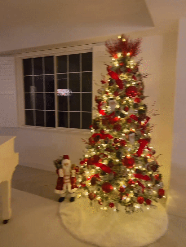 Bảo Thy chiếm spotlight với hang đá, Phạm Hương lại ghi dấu ấn với 6 cây thông lớn khi trang trí nhà đón Noel-11