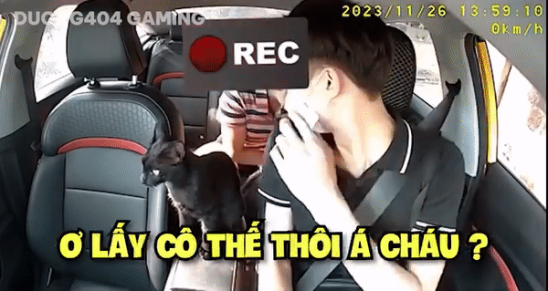 Vừa tỏ thái độ hắt hủi chú mèo, nam tài xế có màn quay xe khiến dân mạng phì cười-1