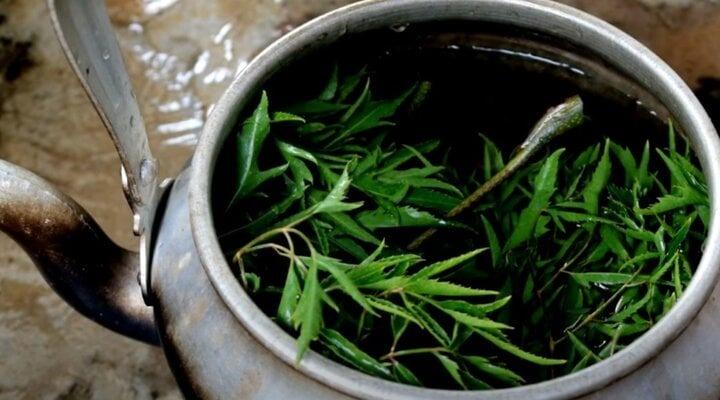 Tác dụng bất ngờ của đinh lăng trong làm đẹp-2